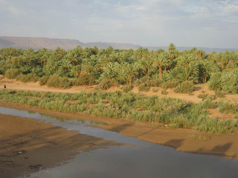 Auberge Toda Kasbah Tinfou Zaouia de Sidi el Mokhtar Ben Ali Esterno foto